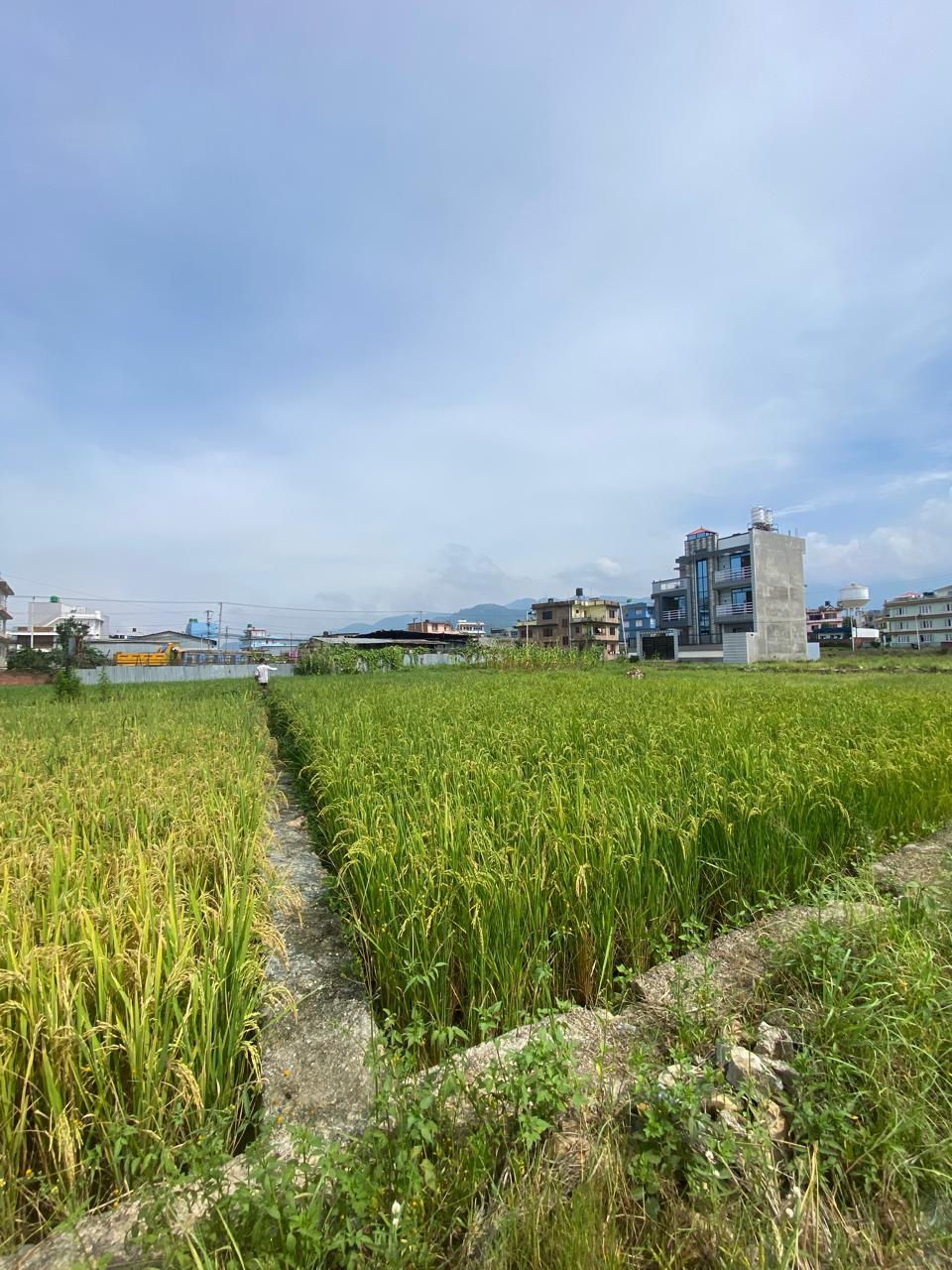 Picture of Mahalaxmi Municipality, Bagmati